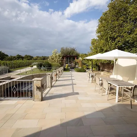 Flamingo Panzio Es Borhaz