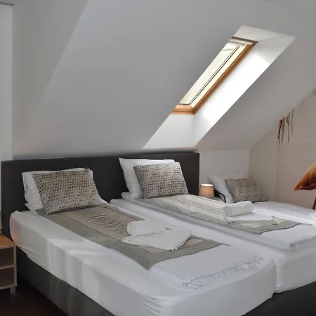 B&B Flamingo Panzio Es Borhaz 에첵